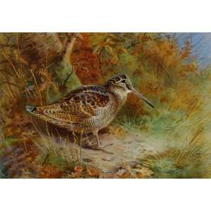 FRAMED oil paintings   Archibald Thorburn   24 x 16 inches   A 