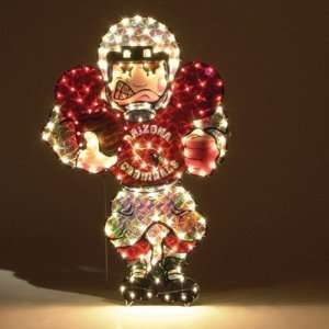  Arizona Cardinals NFL Light Up Player Lawn Decoration (44 