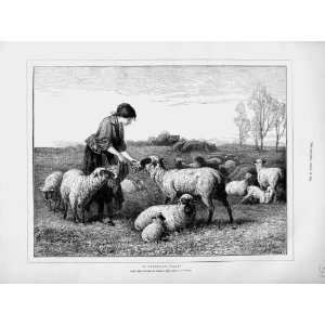 1873 Watson Fine Art Young Girl Sheep Lambs Farming:  Home 
