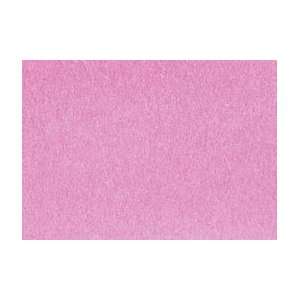  ShinHan Touch Twin Marker   Tender Pink: Arts, Crafts 