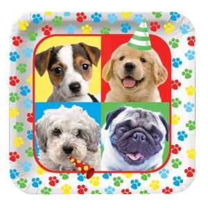  Creative Converting Paw Ty Time Square Dinner Plates, 8 