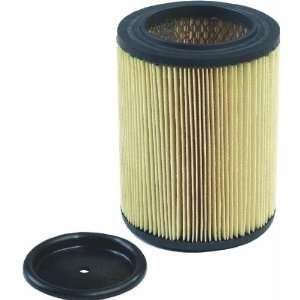  REPLACEMENT CARTRIDGE FILTER: Computers & Accessories