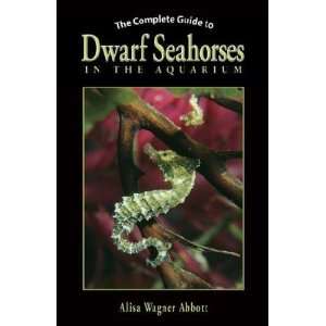  The Complete Guide to Dwarf Seahorses in the Aquarium 