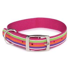   Nylon Brite Stripe Dog Collar, 8 to 11 Inch, Raspberry