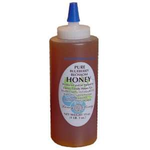Laney Pure Blueberry Blossom Honey in Jumbo Bottle, 19 fl oz  