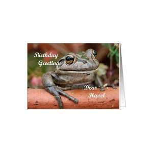 Birthday Greetings Hazel   Frog Card