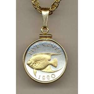   Toned Gold on Silver Bermuda Angelfish, Coin Necklaces Jewelry