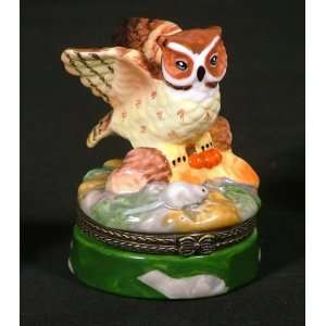  Nocturnal Hoot Owl Wisdom Hinged Trinket Box phb