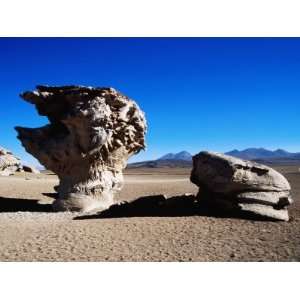 Bizarre Rock Formation known as Arbol De Piedra (Stone Tree) Premium 
