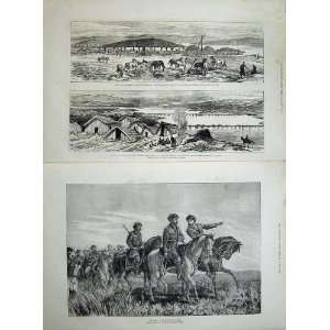   War 1877 Islands Danube Russian Bridges Sistova Horses