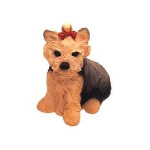  Yorkshire Terrier Dog Coin Bank: Toys & Games