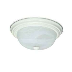   Nuvo 60/222 2 Light Textured White Close to Ceiling: Home Improvement