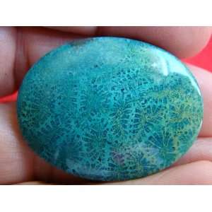  S5903 Green Agate Coral Fossil Flower Oval Cabochon Nice 