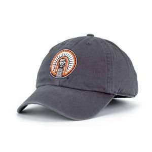 Illinois Fighting Illini NCAA Franchise Hat: Sports 