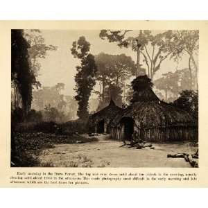  1931 Print Jungle Mist Tanzania Mahale Mountain National 