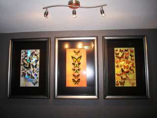   Butterfly Frame set! diamond island gold ferrari lamborghini porsche