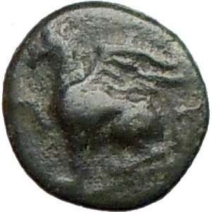   Thrace 336BC Rare Authentic Ancient Greek Coin GRIFFIN lion w wings