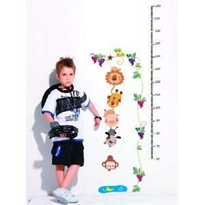   , Child Baby Infant Height Measure Chart 180cm/6 Feet: Home & Kitchen