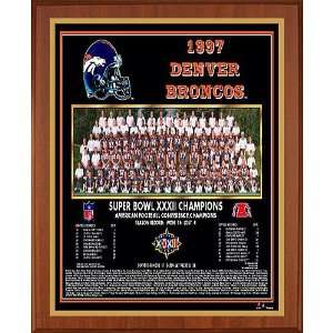  Healy Denver Broncos Super Bowl Xxxii Champions 13X16 Team 