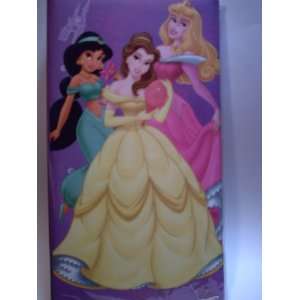 Disney Princess 288 Photo Album with Jasmin, Belle and Aurora (Purple)
