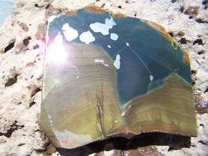 Blue Mountain Jasper Slab Lapidary Great For Cabs   
