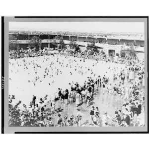   buildings,swimmings pools,outdoors,Long Island,New York,1931 Home