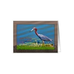  Birthday, 89th, Little Blue Heron Bird Card: Toys & Games