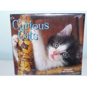  Curious Cats 16 Month Calendar 2007