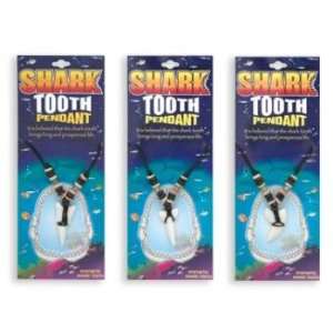 Shark Tooth Pendant Case Pack 72