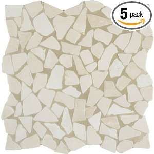  Arizona Tile ST 209 Sterling 12 by 12 Inch Tumbled Rubble 