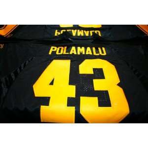Troy Polamalu Pittsburgh Steelers Throwback Jersey #43 Reebok (XLARGE 