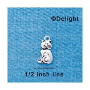  C3772 tlf   2 D Silver Fat Cat   Silver Plated Charm: Home 