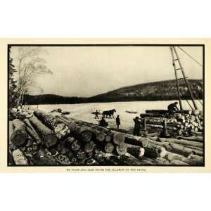 1930 Print Lumber Canada International Paper Wood Eagle 