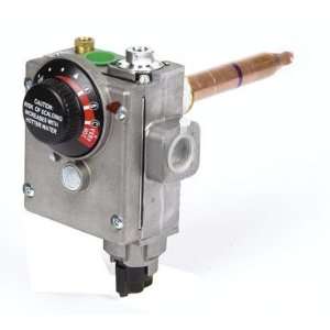  9000246   Natural Gas Thermostat