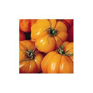  Tomatoes Marvel Striped (50 Organic Seeds) Patio, Lawn 