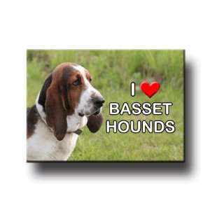  Basset Hound I Love Basset Hounds Fridge Magnet Pet 