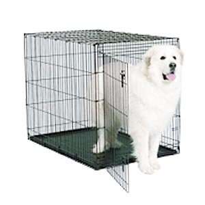  Starter Series Dog Crate, 54 x 37 x 45