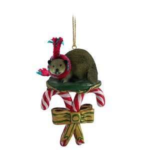  Beaver Candy Cane Christmas Ornament: Home & Kitchen