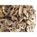 Oyster Shell Art Deco Large Sphere Sculpture  
