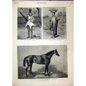  1880 Robert Devil Racehorse Basuto Woman Child Warrior 