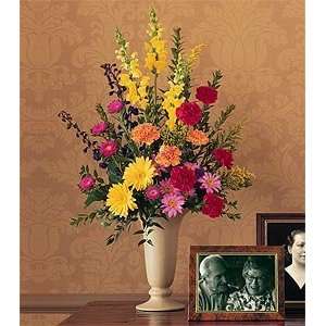  Vibrant Memorial   Same Day Delivery Available Patio 