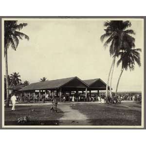   Large market,Jolo,Philippines,Palm Trees,People,c1910