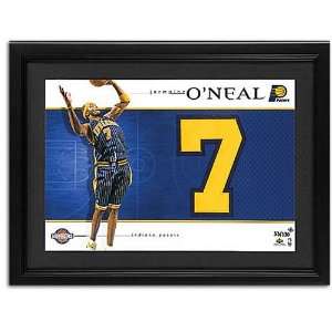  Pacers Upper Deck NBA Jersey Numbers Collectible: Sports 