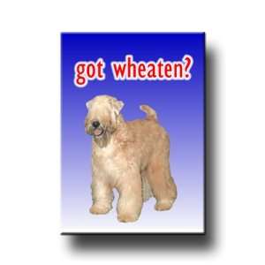  Wheaten Terrier Got? Fridge Magnet No 2 