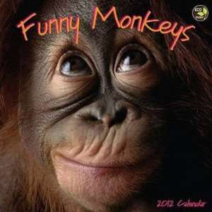  Funny Monkeys 2012 Wall Calendar