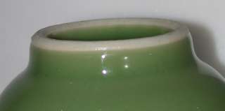 Antique CHINESE Apple Green Porcelain Vase 18 or 19th C  