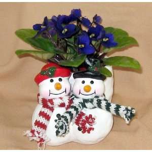  Miniature Violet in Ceramic Snowman with Blue Scarf Patio 