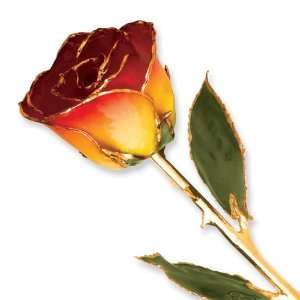  Long Stem 24k Dipped Gold Trim Yellow Red Rose With Gift 