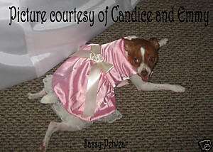 Dog Dress clothes Pink Satin*CUSTOM FIT(xxs med)*  