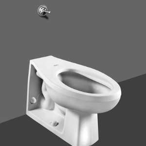  American Standard 25 Neolo 1.6 GPF Elongated Toilet: Home 